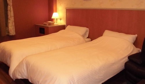 Standard Twin Room (2 Single Size Beds)