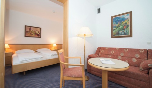 Double Room Single Use