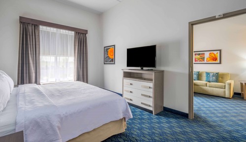 Suite, 1 King Bed, Accessible (Roll-in Shower)