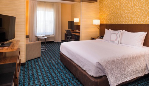 Suite, 1 King Bed with Sofa bed, Non Smoking (Mobility Accessible, Roll-in Shower)