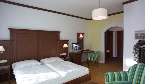 Business Single Room, Garden View