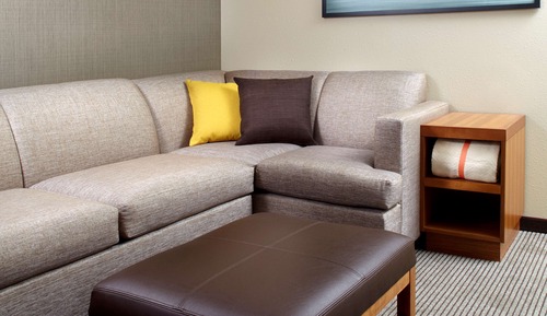 Room, 1 King Bed with Sofa bed, Accessible (Shower)