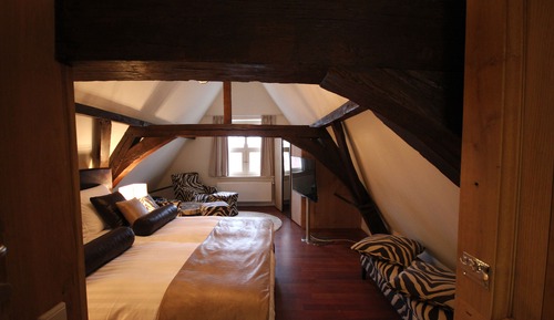Premium Suite, 1 King Bed, Non Smoking, Canal View