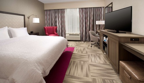 Room, 1 King Bed, Accessible, Bathtub