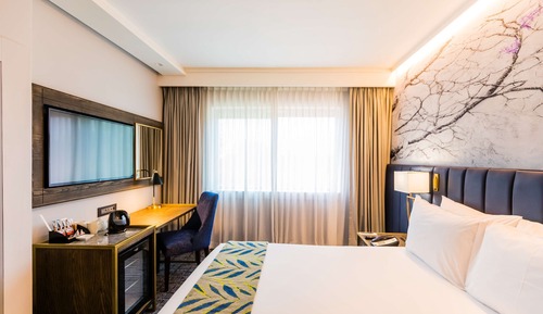 Standard Room, 1 Queen Bed