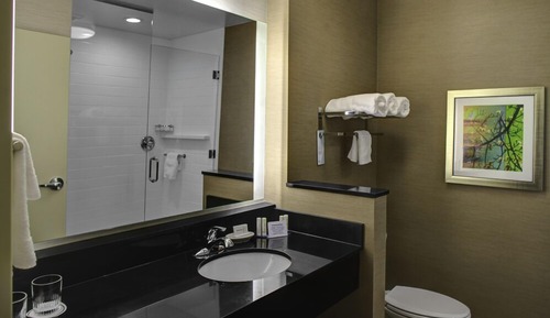 Room, 1 King Bed (Mobility Accessible, Roll-in Shower)