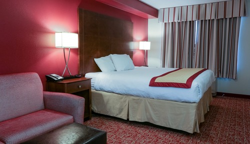 Suite, 1 King Bed