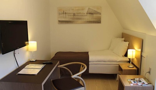 Business Single Room, 1 Twin Bed, Non Smoking