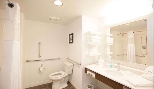 Room, 1 King Bed, Accessible, Non Smoking (Roll In Shower / Hearing accessible)