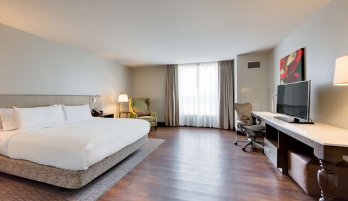 Room, 1 King Bed, Accessible