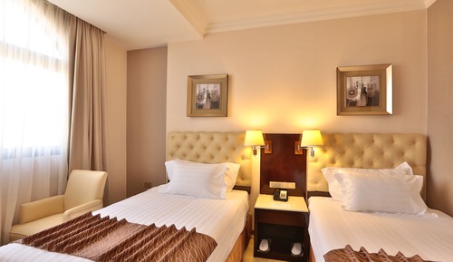 Superior Twin Room, Mountain View