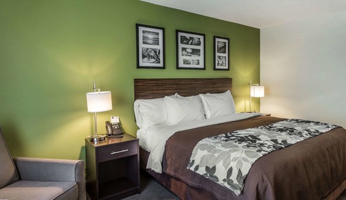 Standard Room, 1 King Bed, Non Smoking