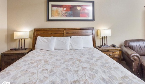 Standard Single Room, 1 King Bed