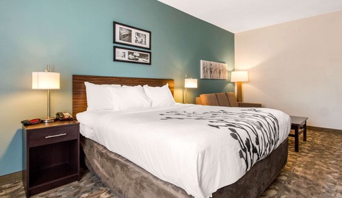 Efficiency, Suite, 1 King Bed, Non Smoking
