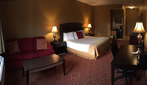 Standard Room, 1 King Bed with Sofa bed, Non Smoking, Refrigerator