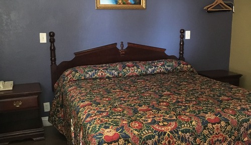 Room, 1 King Bed