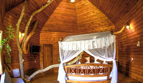 Deluxe Tree House