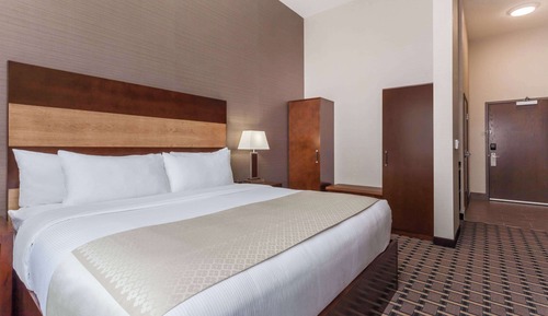 Premium Room, 1 King Bed, Non Smoking (Pet-Friendly)