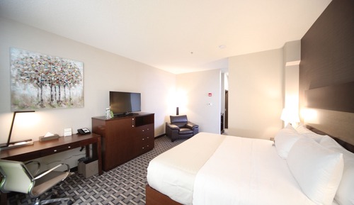 Executive Suite, 1 King Bed with Sofa bed (Executive Junior Suite)