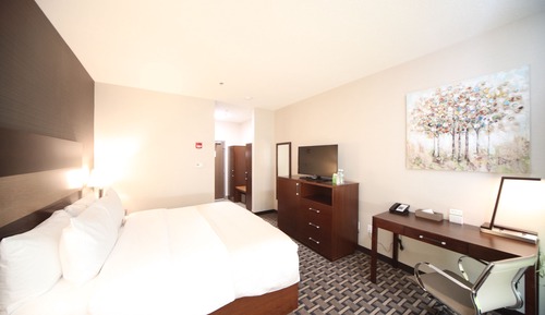 Premium Room, 1 King Bed