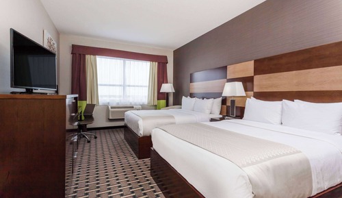 Premium Room, 2 Queen Beds