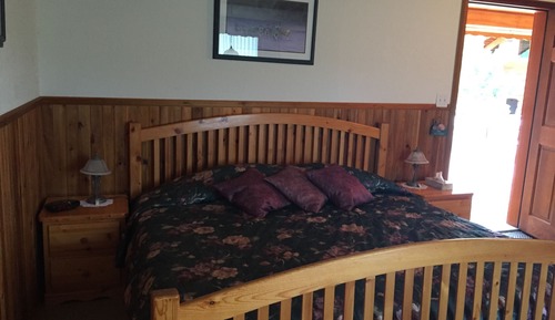 Room, 1 King Bed