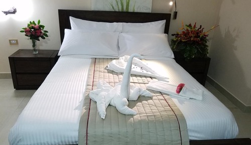 Standard Single Room