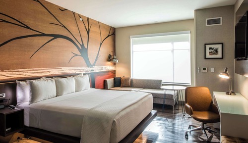 Room, 1 King Bed, Accessible, Non Smoking