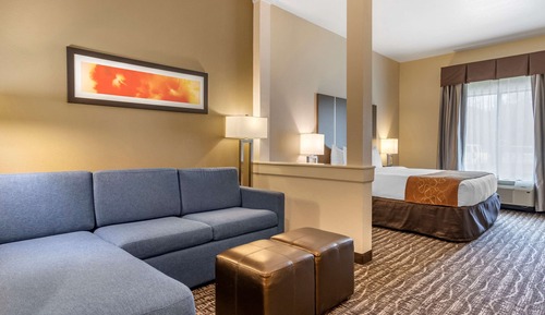 Suite, 1 King Bed with Sofa bed, Accessible, Non Smoking