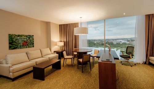 1 King Bed 1 Bedroom Suite