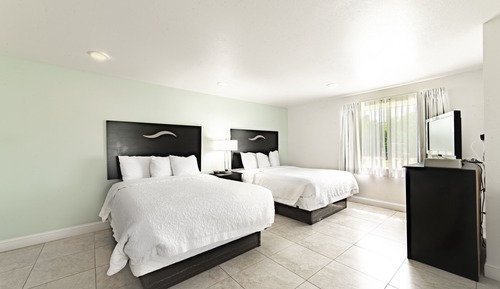 Studio Suite, 2 Queen Beds, Kitchenette