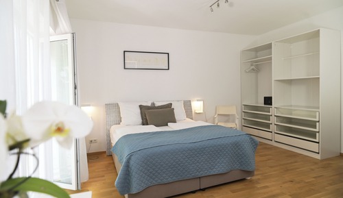 Executive Apartment, 1 King Bed, Kitchen