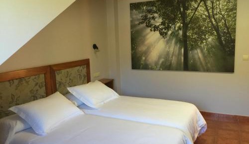 Double or Twin Room - Attic
