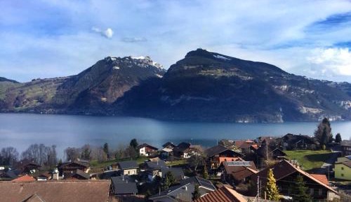 Standard Double Room with Balcony and Lake View