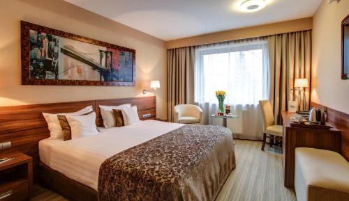 Double Room with one large bed