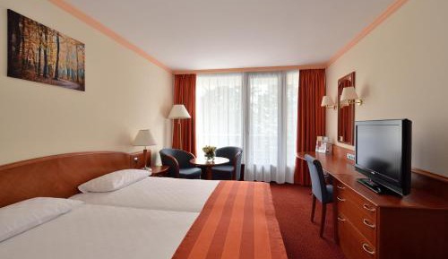 Superior Double Room with Wellness and Fitness Access