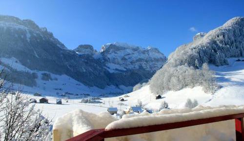 Superior Double or Twin Room with Mountain View