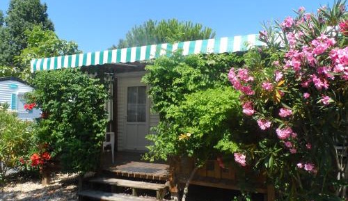 Mobile Home