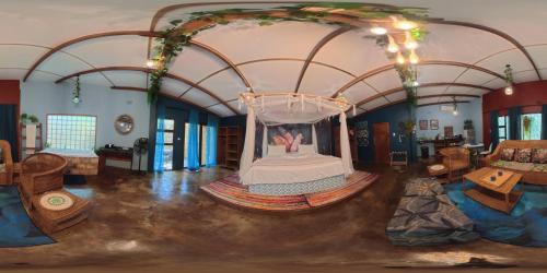 Deluxe King Studio