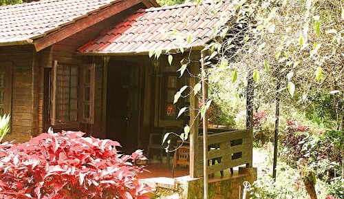Deluxe Cottage