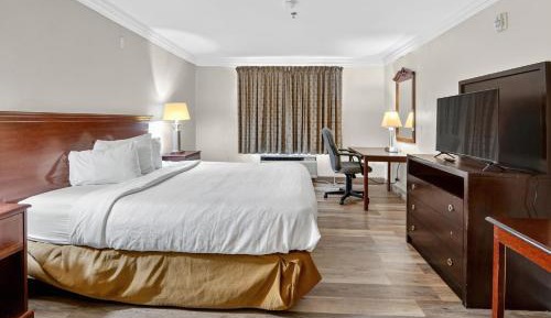 Deluxe King Room