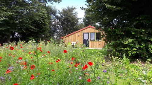 Small Chalet