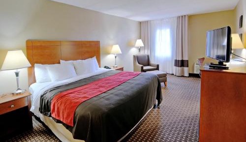 Standard King Room - Non-Smoking 