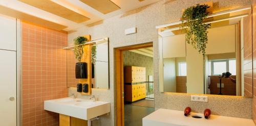 Single bed in 6-Bed MIXED Dorm with Shared Bathroom 