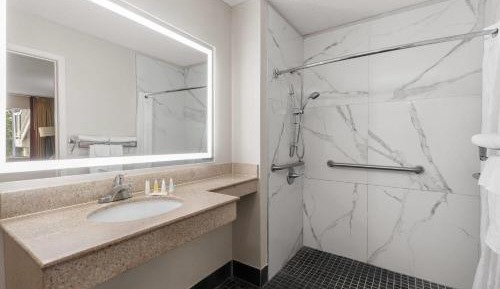 King Room with Roll In Shower - Mobility Access/Non-Smoking
