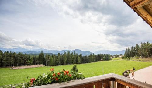 Superior One-Bedroom Apartment with Balcony
