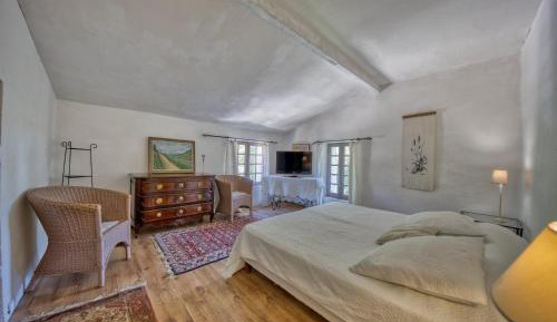 Comfort Suite
