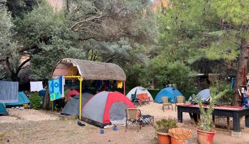 Tent