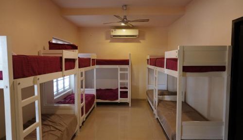 10-Bed Mixed Dormitory Room
