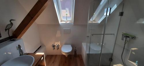 Apartment - Disability Access